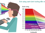 ÁNH SÁNG XANH LÀ GÌ? ÁNH SÁNG XANH ẢNH HƯỞNG ĐẾN SỨC KHOẺ MẮT NHƯ THẾ NÀO?